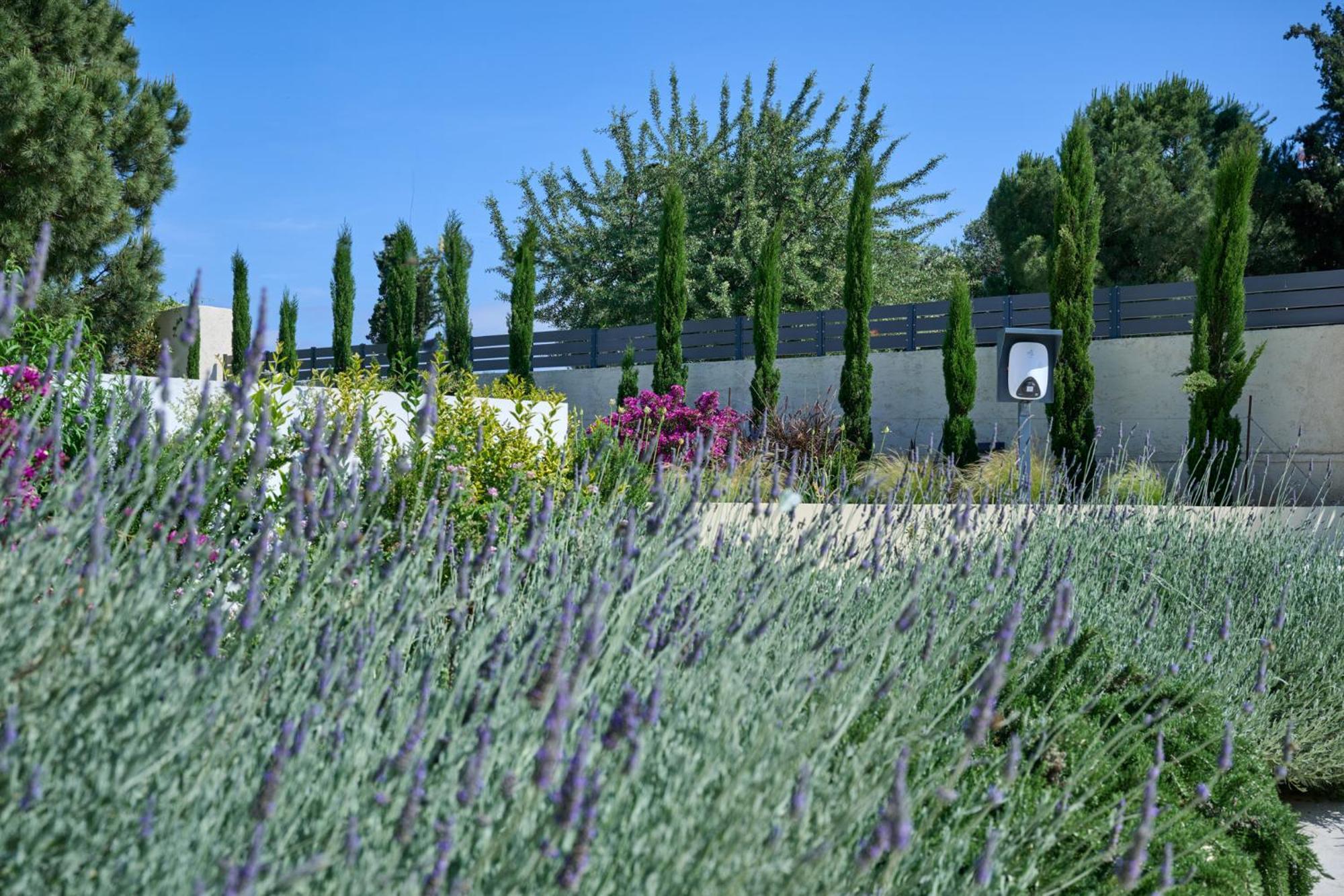 Kyamon Estate Luxury Villa Χανιά Εξωτερικό φωτογραφία